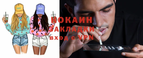 СК Алексин