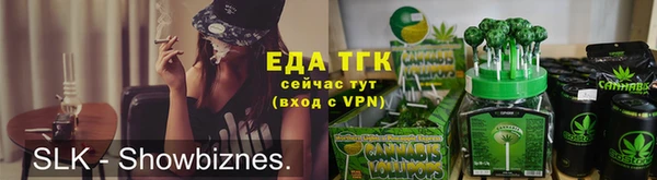 СК Алексин