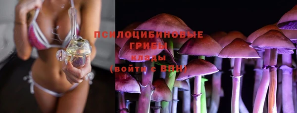 apvp Алексеевка