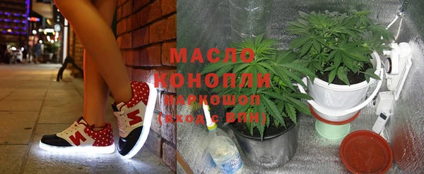 СК Алексин